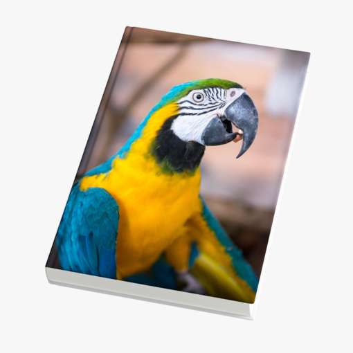 8K Echtfotobuch 20x25 hoch Silk