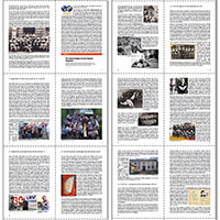 Ringkampf in Sachsen-Anhalt